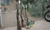 شکارچی غیرمجاز در دلفان دستگیر شد