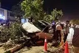 حرف‌های منتسب به راننده حادثه دیشب در تجمع مشهد