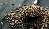 معجزه این گیاه در درمان نفخ و مشکلات گوارشی