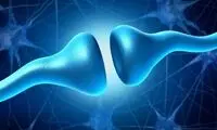 چرا بی‌تفاوتی اولین علامت آلزایمر است؟