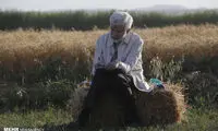 سعید جلیلی : آمریکا تحریم ایران را دور می‌زند!