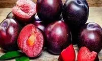 فواید درمانی و شگفت انگیز آلو برای سلامتی