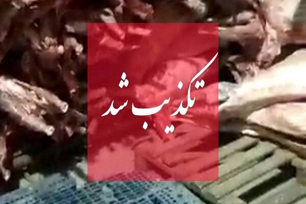 واردات گوشت حرام به ایران صحت دارد؟