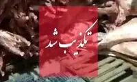 واردات گوشت حرام به ایران صحت دارد؟