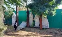 عکسی حسرت‌آور که هدر رفت منابع ایران را نشان می‌دهد