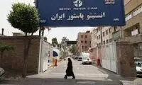 تصویر بنر تزریق واکسیناسیون هاری، خبرساز شد