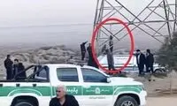 راننده تریلی پس از تصادف خودش را دار زد!