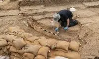 کشف حیرت‌انگیزِ غذای انسان‌های نخستین!