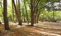 تصاویر نگران‌کننده‌ای که از پارک چیتگر وایرال شد