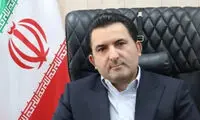 صادرات مرغ مشروط شد