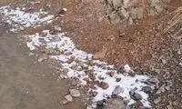 تصاویری جذاب از توچال در میان برف و مِه