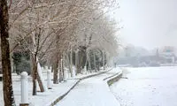 تصاویری از بارش۱۰ سانتیمتری برف در تهران