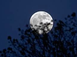 ‏غروب دلبر ماه بر آسمان قله‌ی دماوند