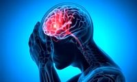 این ماده غذایی مغز را تقویت می‌کند