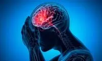 این ماده غذایی مغز را تقویت می‌کند