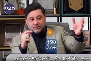 درآمد این شغل در ایران از قاچاق مواد به اروپا هم بیشتر است