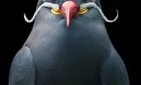 سبیل هرکول پوآرو روی صورت یک پرستو