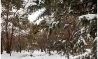 بیشترین برف در کدام مناطق ایران آمد؟