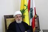 ترور شیخ نعیم قاسم تکذیب شد