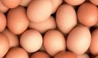 ایرانیان پول تخم‌مرغ ندارند، عراقی‌ها جایگزین شدند