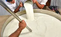 هشدار جدی برای مصرف لبنیات سنتی در فصل بهار
