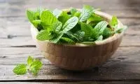معرفی سبزیجات معطر برای خوش‌طعم‌ کردن غذا