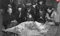 ماجرای انتظار 10 ساله وفادارترین سگ جهان