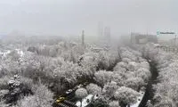 تصویری کارت پستالی از برف امروزِ تهران