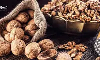 پیشگیری از پوکی استخوان با این مغز خوشمزه