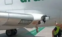 دردسر حرکت انتحاری یک پرنده برای هواپیمای مسافربری