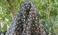 مسافرکش زن، سارق طلا از آب درآمد