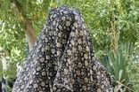 مسافرکش زن، سارق طلا از آب درآمد