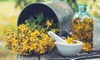 کدام گیاهان خستگی مزمن را کاهش می‌دهند؟