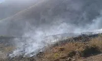 عامل آتش‌سوزی عمدی مراتع هویر دماوند متواری شد
