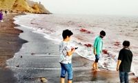 سفر به جزایر هرمزگان دارای محدودیت سنی شد!