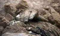 تصاویر تلخی از زلزله بم که اشکتان را در می‌آورد
