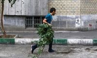افزایش ناپایداری‌های جوی در تهران از هفته آینده