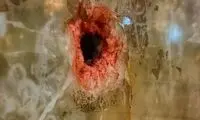 اولین عکس از عامل حادثه مرگبارِ شیراز 