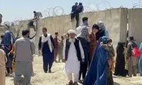 اقدام جدید دولت درباره ورود اتباع به کشور