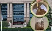 خرافات جدید؛ خاک گلدان‌های بانک‌ پول‌دارتان می‌کند!