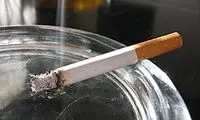 امتیاز ویژه کارکنان بیت به شاعران اهل دخان!