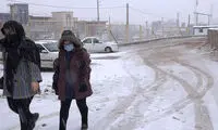 تصاویری از بارش زیبای برف در شهر مهاباد