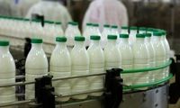 لبنیات ارزان به بازار می‌آید