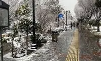 این استان‌ها منتظر بارش برف و باران باشند