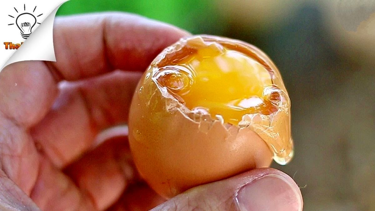   خلاقیت در آشپزی: آموزش تصویری ۸ روش پخت تخم‌مرغ 