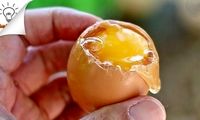 خلاقیت در آشپزی: آموزش تصویری ۸ روش پخت تخم‌مرغ 