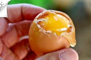 خلاقیت در آشپزی: آموزش تصویری ۸ روش پخت تخم‌مرغ 