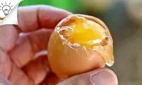 خلاقیت در آشپزی: آموزش تصویری ۸ روش پخت تخم‌مرغ 