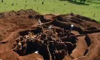 کشف شگفت‌انگیز با بتن‌ریزی در لانه مورچه‌ها 