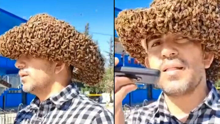 تصاویری از تجمع زنبورها روی سر یک مرد